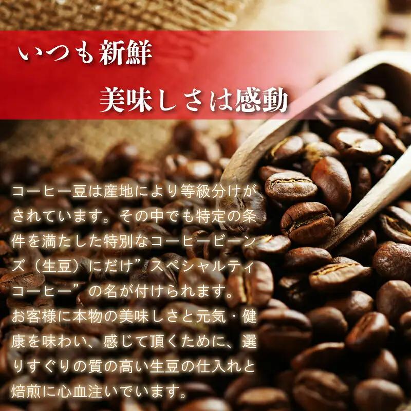 コーヒー Nanの木 自家焙煎 スペシャルティ 3種 飲み比べ セット 豆 | コーヒー