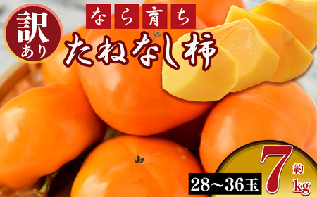 【 令和7年分 先行予約 】【なら育ち】たねなし柿　訳アリ　約7kg(28玉～36玉）｜フルーツ 果物くだもの 柿 かき カキ  柿 奈良県 五條市