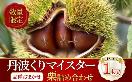 ＜先行予約受付中！2026年9月下旬以降順次発送予定！＞＜数量限定＞丹波くりマイスターが育てた丹波栗1kg(1Lサイズ/品種おまかせ) 【fc-TR001-A】【福寿くり園】