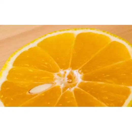 【訳あり】小夏 (日向夏) ヘルシー小夏ちゃん 3kg | 家庭用 期間 数量 限定 旬 人気 果物 くだもの 柑橘 フルーツ みかん ジュース 高知県 須崎市 KYM009