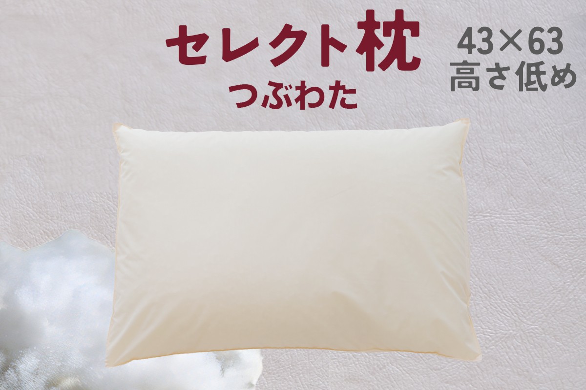 
            セレクト枕 つぶわた 標準タイプ 中央くぼみタイプ 低め（43×63cm）
          