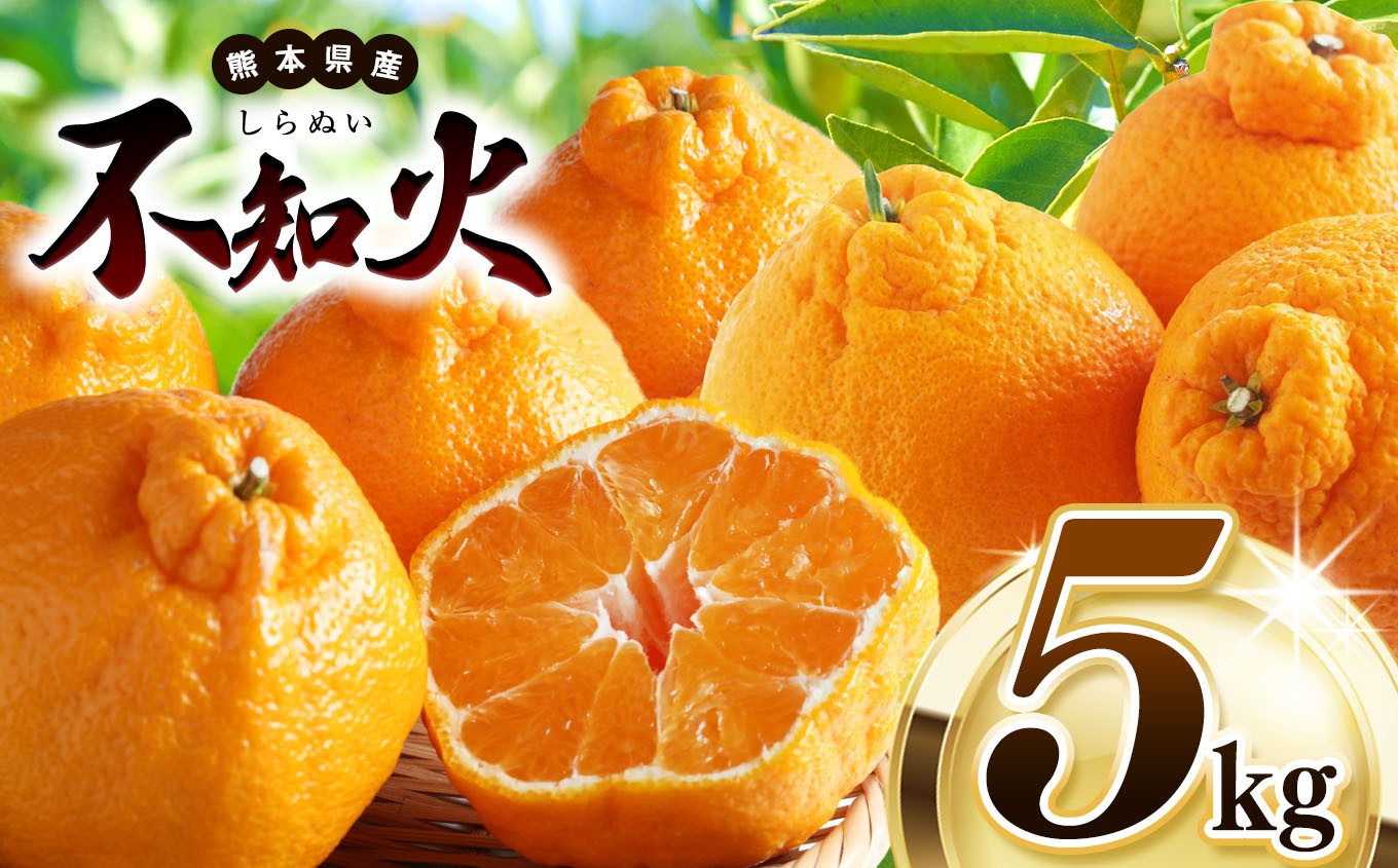 
            【 先行予約 】 不知火 約 5kg 池田ファーム | 柑橘 みかん フルーツ 和製 果物 熊本県産 熊本県 熊本 くまもと 和水町 なごみまち なごみ ミカン 柑橘類 果物 フルーツ 
          