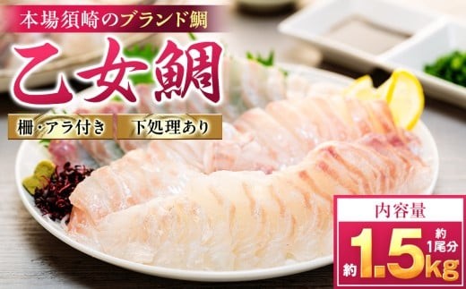真鯛 刺身 用 柵 アラ付き 1尾 セット 1.3kg～1.5kg 本場須崎のブランド 鯛 乙女鯛 新鮮 冷蔵 刺身 お刺し身 タイ 鯛 高級魚 鮮魚 海鮮 魚介 煮付け 鯛めし 鯛茶漬け 鯛しゃぶ アラ汁 皿 高知県 須崎市 KS004-2x