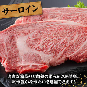 牛肉 宮崎牛 サーロイン ステーキ 400g
