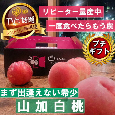 【ふるさと納税】【まず出逢えない気品高い山加白桃】人気品種指定ギフト4年連続TV出演話題ブランド2025年7月下旬～【配送不可地域：離島・北海道・沖縄県・中国・四国・九州】【1465316】