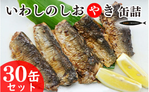 いわしのしおやき缶 30缶セット いわし イワシ 鰯 まいわし マイワシ 缶詰 魚介 国産 安心 贈答 ギフト 贈り物 夕飯 アレンジ おつまみ おかず 惣菜 美味しい 保存食 非常食 ローリングストック 長期保存 常温 青魚 健康 防災 備蓄 千葉県 銚子