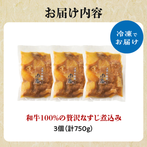 和牛100％の贅沢なすじ煮込み 250g×3個 750g 牛すじ 煮込み すじ煮込み 牛すじ煮込み  093-11