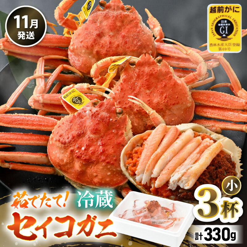 【ふるさと納税】【先行予約】【冷蔵】 旬のセイコガニ 小 3杯 計330g以上（茹で前）説明書付き 【2025年11月上旬以降順次発送予定】食べ切数量！全て地物！天然！ ズワイガニメス せいこがに