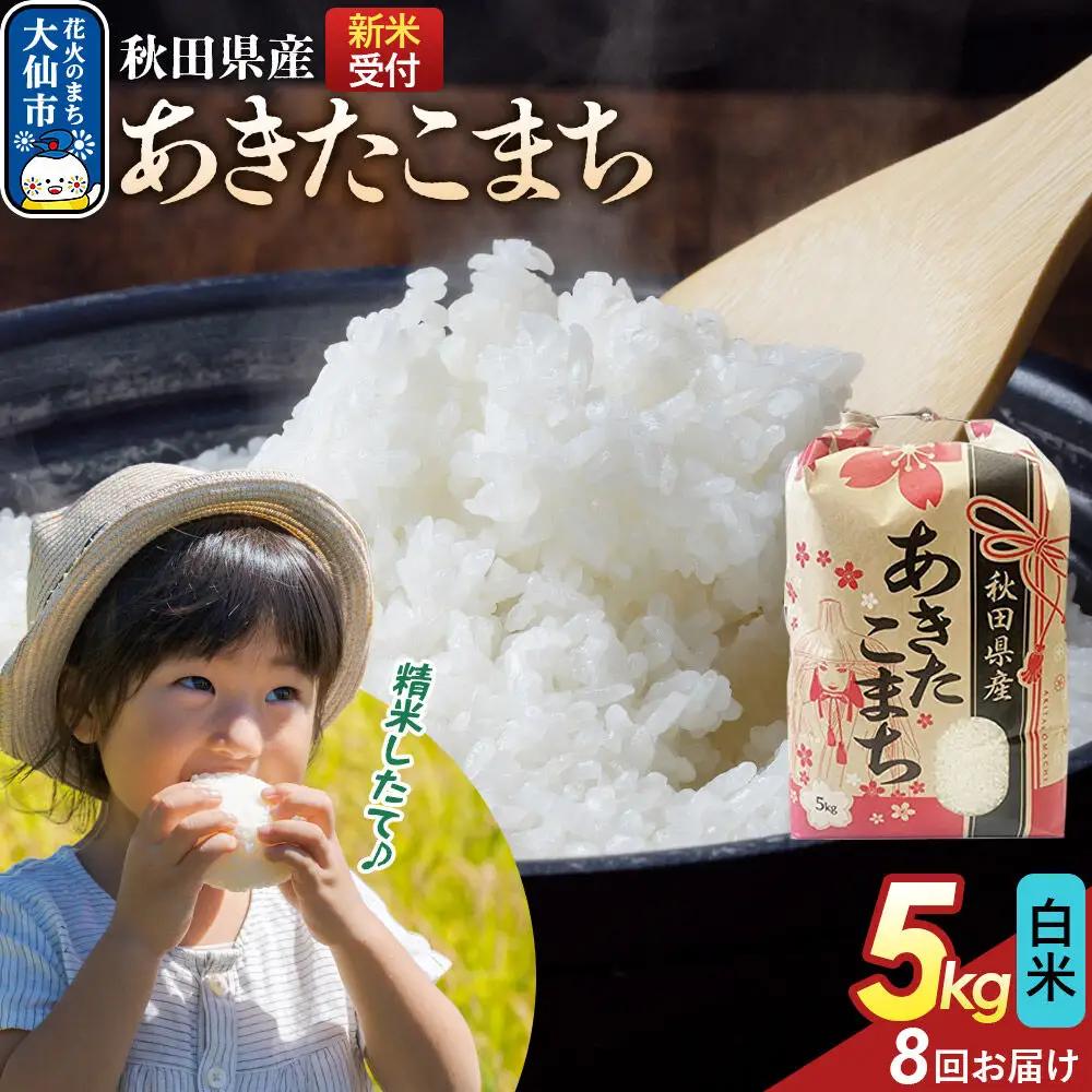 《令和8年産新米予約》 《定期便8ヶ月》【白米】あきたこまち 5kg 秋田県産  こまちライン 秋田県 大仙市産