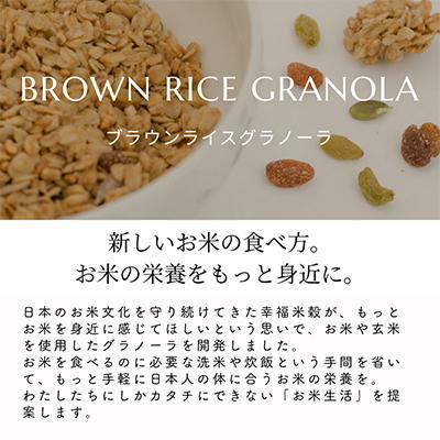 ふるさと納税 枚方市 玄米 グラノーラ 6種 アソートパック |  | 03