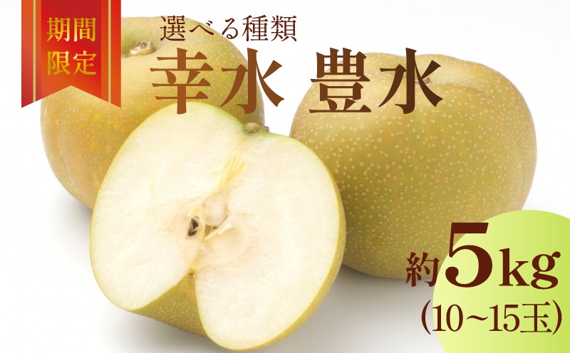 
            梨 幸水 豊水 約5kg 10～15玉 選べる2種 数量限定 季節限定 フルーツ 果物 梨 ナシ なし 和梨 デザート スイーツ おやつ ★★ 先行予約 梨 旬 果物 8月配送 9月配送 限定 井ガシラ農園 奈良県 奈良市
          