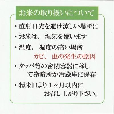 ふるさと納税 米子市 令和7年産 大山しらゆき米10kg(精白、コシヒカリ) |  | 03