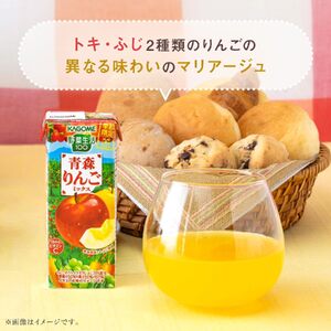 カゴメ 野菜生活100 青森りんごミックス 195ml 24本 1日分のビタミンC 砂糖不使用 紙パック ビタミンＣ 健康 飲料 果汁 贈答用 青森 りんご 季節限定 期間限定 [10月より順次発送]