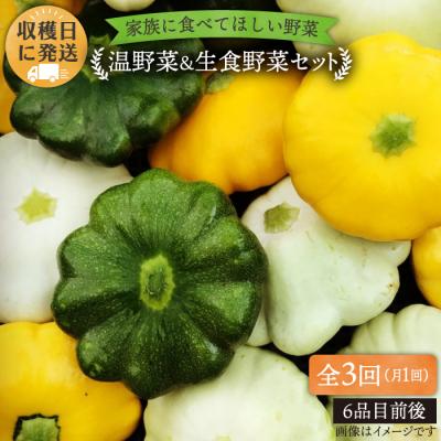 ふるさと納税 糸島市 【全3回定期便】糸島産 朝採れ 温野菜&amp;生食野菜セット オーガニックナガミツファーム[AGE019]