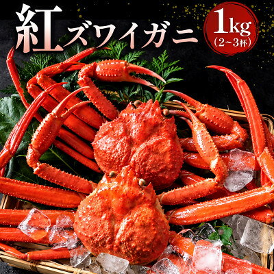 【ふるさと納税】【蟹セレブ】紅ズワイガニ1kg(2~3杯)【配送不可地域：離島・北海道・沖縄県】【2002672】