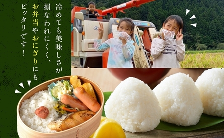  あすかの恵 こしひかり 精米 約 4.5kg × 2袋 お米 米 コメ 揖斐川 飛鳥川 玄米 白飯 ご飯 ふっくら 艶 ツヤ 旨味 甘い 朝食 夕食 強火 弱火 真空パック 株式会社あすか 岐阜県 