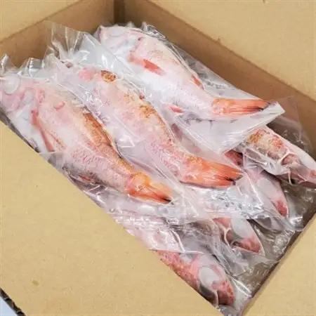 山陰のノドグロ　7尾入　煮付け、塩焼きに!【配送不可地域：離島】【1117132】