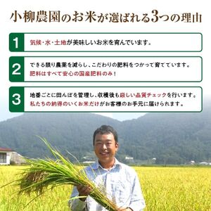 小柳農園の特別栽培米コシヒカリ15kg(5kg×3)【1204307】