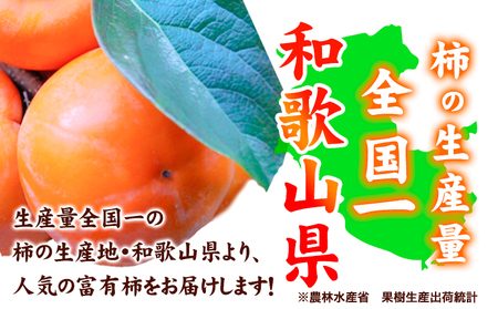 〈ご家庭用〉和歌山産 富有柿 約 7.5kg 厳選館 《2024年11月上旬-12月下旬頃出荷》 和歌山県 日高川町 柿 カキ かき ジューシー フルーツ