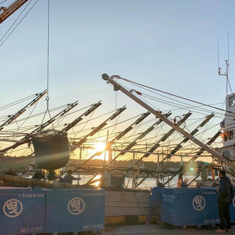 常磐もの かつおメンチ 16個 ｜ さかな メンチ お弁当 レンチン ｜ 福島県 いわき市 大川魚店 CK005
