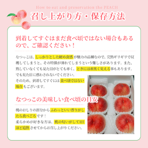 もも しっかり果肉！硬め好きに贈る贅沢桃　なつっこ【5～6玉】【先行予約】【2026年6月下旬～8月上旬順次発送】【aozf002】
