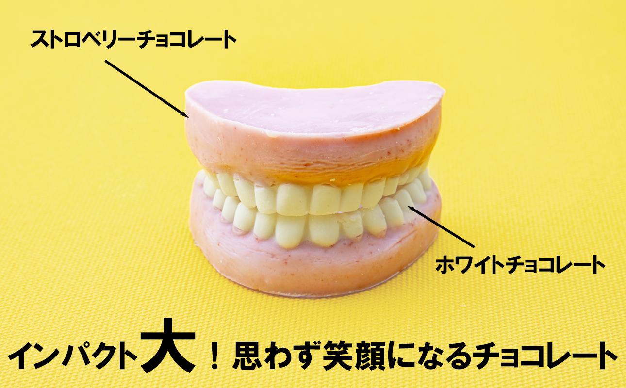 ハロウィン・バレンタインデーチョコレートのニューウェーブ。あなたと一緒にいればー「入れ歯チョコレート」（２個セット）ハロウィンの仮装に。バレンタインデーのサプライズに。【チョコ、チョコレート、サプライ