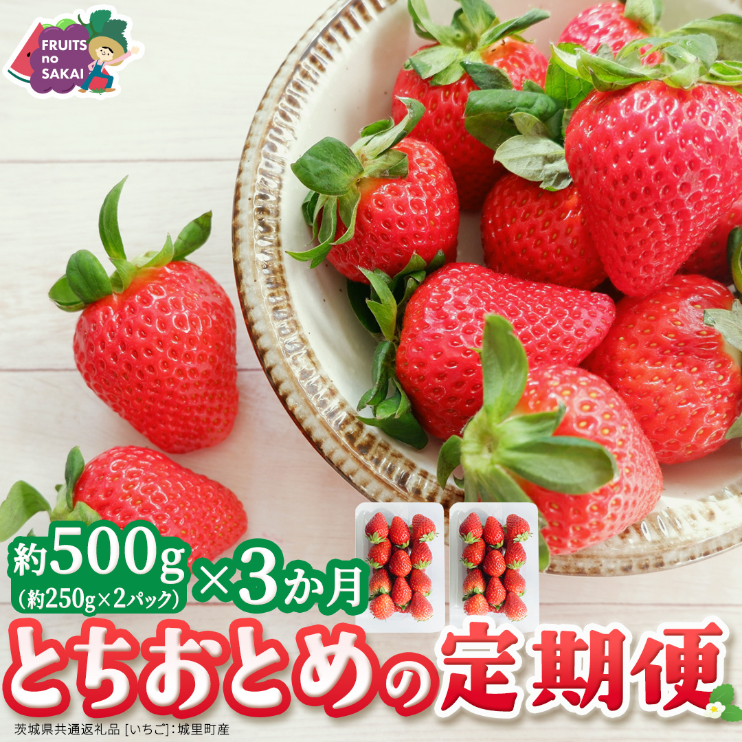 【定期便】とちおとめ 約250g（15～18粒）×2パック 3ヶ月連続お届け便【2026年12月から発送開始】（茨城県共通返礼品 [いちご]：城里町産） 茨城県 県産 人気 厳選 果物 くだもの 旬 