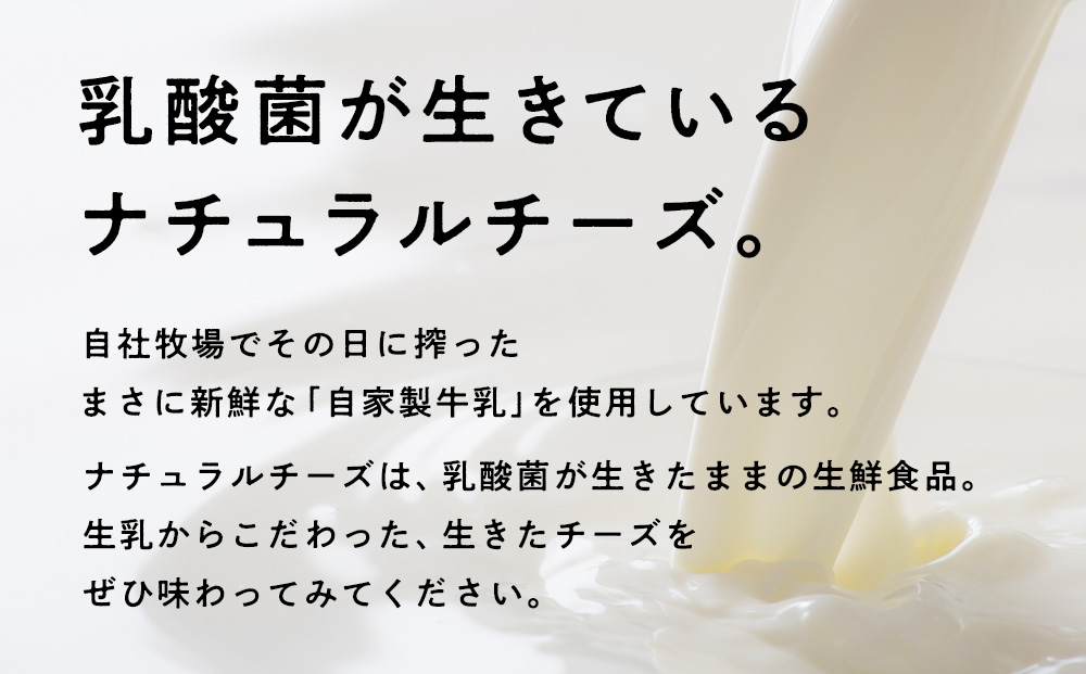 べこちちFACTORY★モッツァレラチーズセット