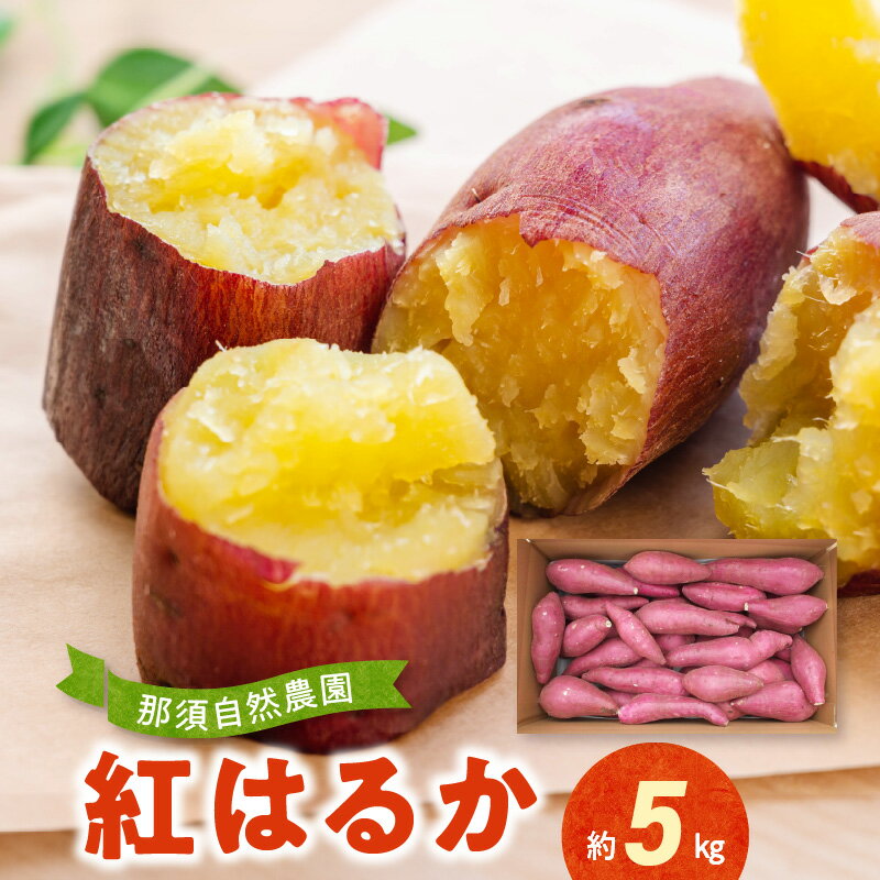 【ふるさと納税】那須自然農園 紅はるか 約 5kg さつまいも 自然農法栽培 全国環境保全型農業推進コンクール べにはるか 芋 野菜 強い甘み しっとりした 肉質 焼き芋 スイートポテト 天ぷら おかず スイーツ おやつ お取り寄せ 食品 送料無料 【熊本県宇土市】