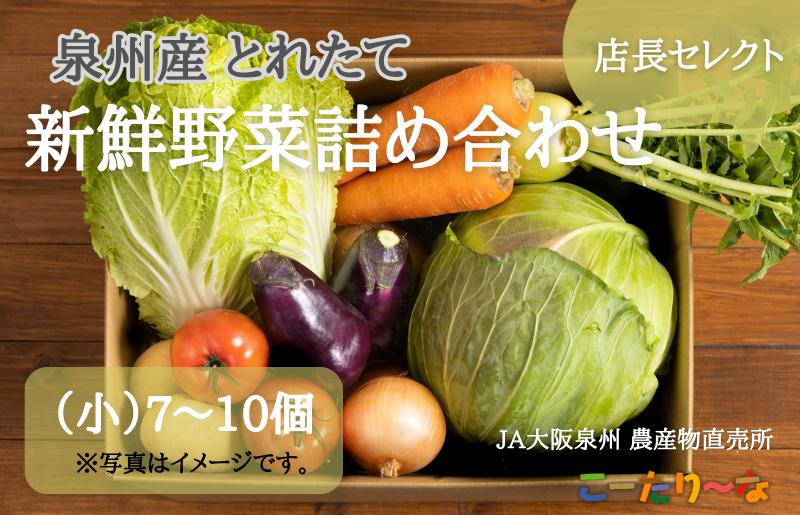JA大阪泉州 直売所店長セレクト 新鮮野菜セット【7〜10個 詰め合わせ 泉佐野産 とれたて 新鮮野菜 やさい 高評価 数量限定 大阪 泉佐野 大阪府 泉佐野市】
