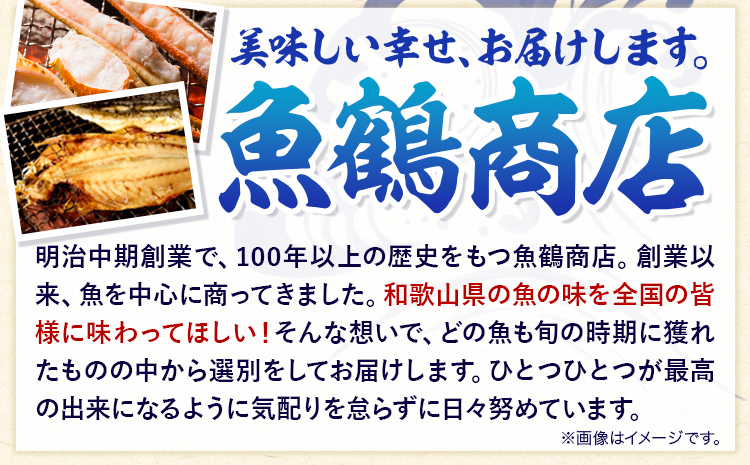 和歌山魚鶴仕込の甘口塩銀鮭切身 8切(2切×4パック) 小分け 魚鶴商店《90日以内に出荷予定(土日祝除く)》和歌山県 日高町 甘口塩銀鮭 銀鮭 鮭 さけ 切り身---wsh_fhuo3_90d_23_10000_4p---