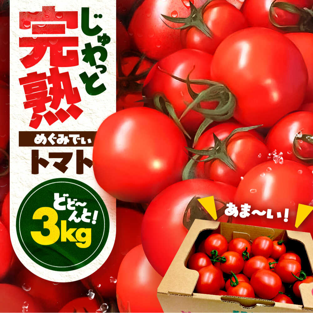 【ふるさと納税】 完熟 めぐみでぃトマト 3kg （毎週水曜日発送）/ とまと トマト 完熟トマト 高糖度 トマト 取り寄せ / 小浜市 / 若狭の恵 【配送不可地域：離島】[BFAG030]