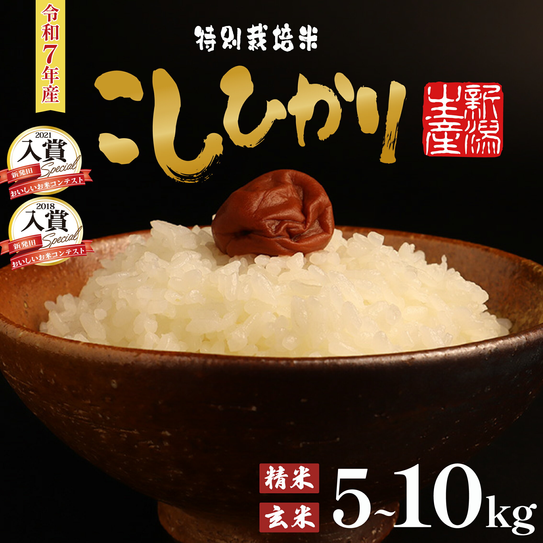 【ふるさと納税】 令和7年産 特別栽培米コシヒカリ 選べる 容量 5kg 10kg 白米 玄米 新米 特栽米 新潟県産コシヒカリ 新潟米 新発田産 新潟 米 させ農園 新潟県 新発田市 sase001_01P