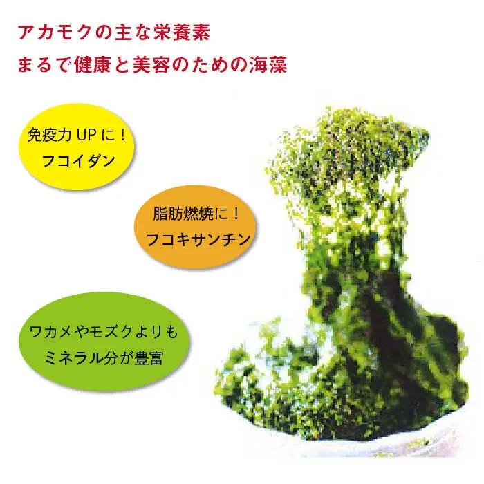 【数量限定】50セット限り あおさ アカモク 佃煮 100g×5本 五島市/心誠 [PCG006]  つくだに つくだ煮 おかず ご飯のお供 セット