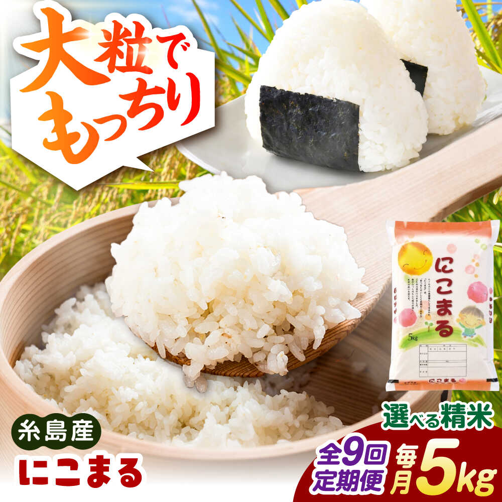 【ふるさと納税】【全9回定期便】【精米方法が選べる！】にこまる 5kg（5kg×1袋） 糸島市 / 玄米・精米専門店 新飼宗一郎商店[ADE024] 白米 玄米 常温10万円119000円