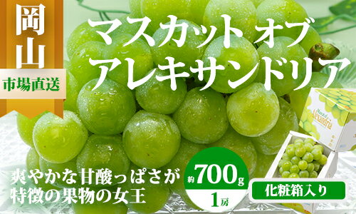 【ふるさと納税】【令和7年発送・先行予約】岡山県産　マスカットオブアレキサンドリア（700g以上・秀品以上）1房　化粧箱入り　Cz-8　※北海道・沖縄県・離島への配送はできません。