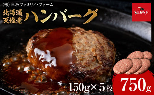 黒毛和牛 天塩和牛 ハンバーグ 150g×5枚セット ＜早坂ファーム＞