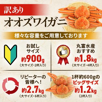 ふるさと納税 様似町 【訳あり】オオズワイガニ ボイル 大サイズ  6杯 合計約2.7kg |  | 02