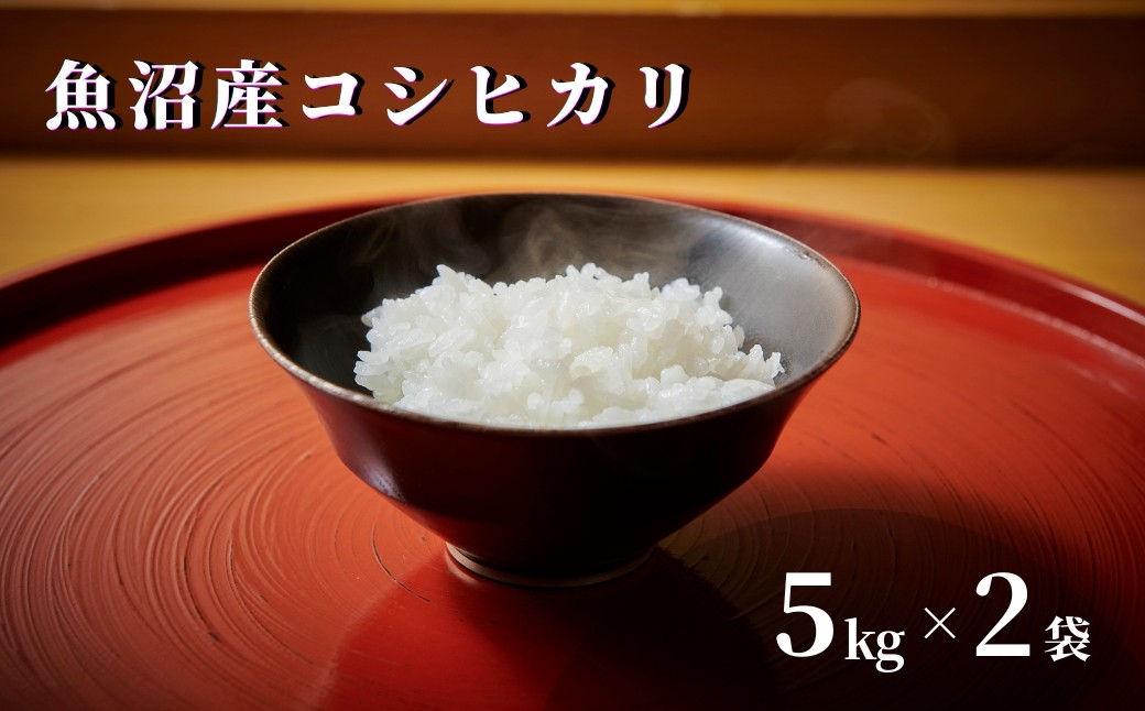 
                  【令和7年産】 魚沼産コシヒカリ 10kg(5kg×2袋)  特別栽培米 |  新潟産コシヒカリ 新潟県産コシヒカリ 魚沼産こしひかり 米 お米 こしひかり 白米 精米  新潟県 津南町 越後雪椿産業株式会社
                