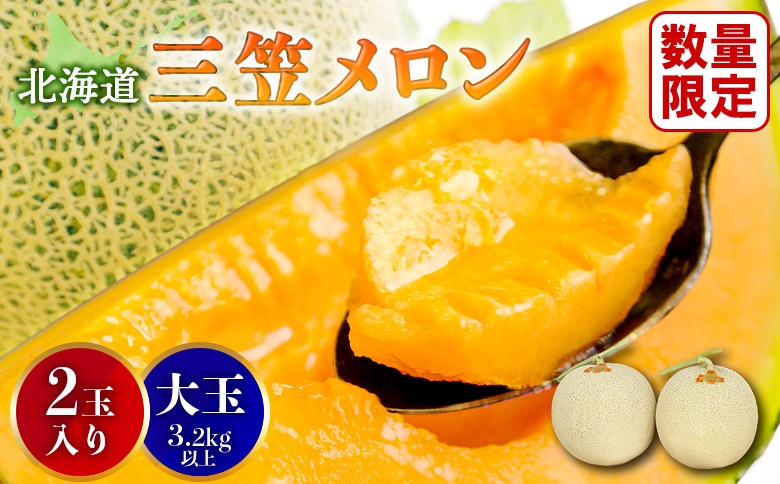 大玉！とろける食感の北海道三笠メロン2玉入(3.2kg以上)
