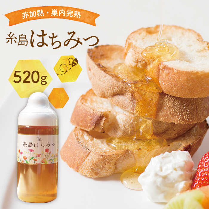 【ふるさと納税】糸島はちみつ 520g【ヴァンベールフーズ】百花/蜂蜜 [AFJ002] 17000円 常温
