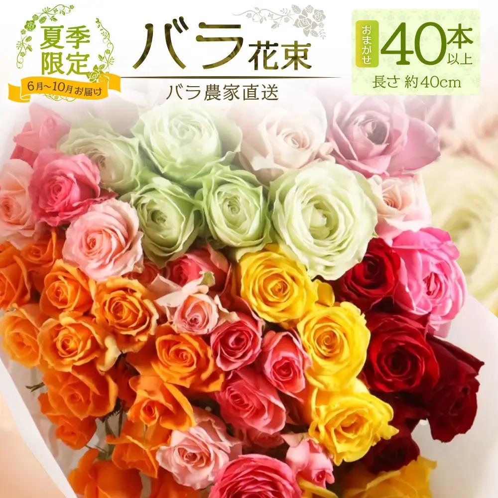 【 もうすぐ受付終了・9/30まで】【日付指定必須・ギフト対応可】 夏季限定 ばら農家直送！バラ花束40本以上お届け(色はおまかせ) TB-8