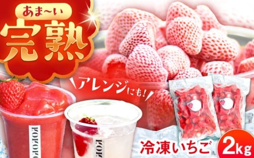 【先行予約】【2026年1月中旬より順次発送】冷凍いちご 2kg / 冷凍いちご 冷凍苺 冷凍 苺 イチゴ いちご 完熟 完熟いちご 完熟苺 冷凍フルーツ スムージー かき氷 ジャム 手作り スイーツ デザート 産地直送 果物 フルーツ 旬の味覚 新鮮 製菓材料 お取り寄せ 贈答 ギフト 岐阜県 / 恵那市 クリエイティブファーマーズ [AUAH024]