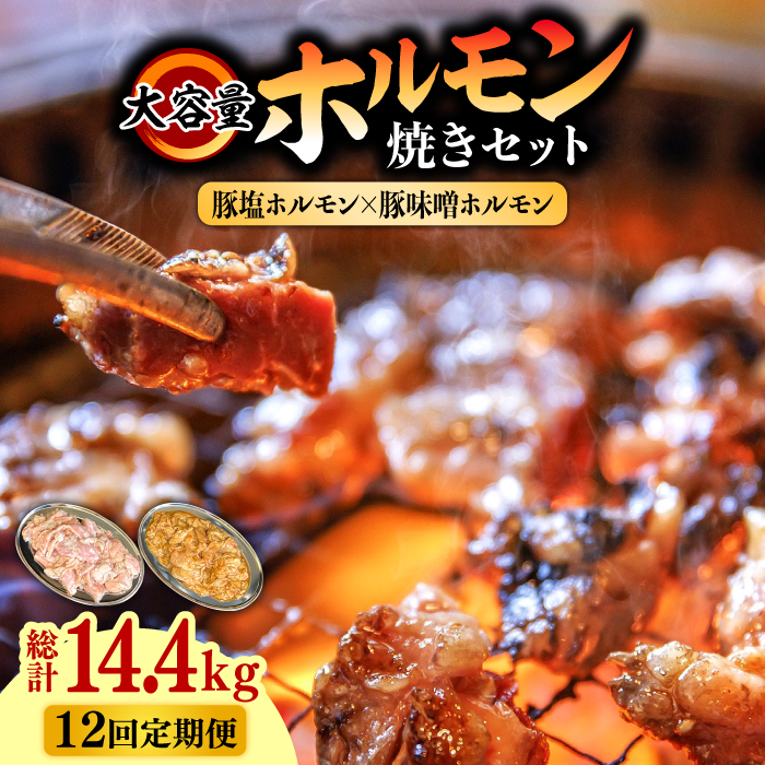 【12回 定期便 】 ホルモン 塩焼き・ニンニク味噌焼きセット 大容量セット 総計14.4kg / 肉 豚肉 直腸 豚テッポウ 希少部位 国産 / 南島原市 / はなぶさ [SCN143]