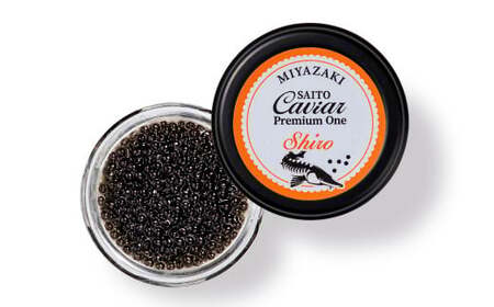 SAITO CAVIAR PREMIUM ONE SHIRO 12g キャビア 西都市オリジナル＜3.8-1＞鮎のよしの