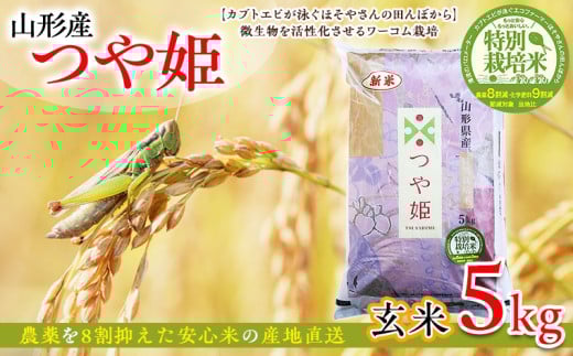 令和6年度産 山形産 「つや姫」5kg (玄米) 特別栽培米 8割減農薬・9割減化学肥料（当地比）【カブトエビが泳ぐほそやさんの田んぼから】微生物を活性化させるワーコム栽培 FY25-126