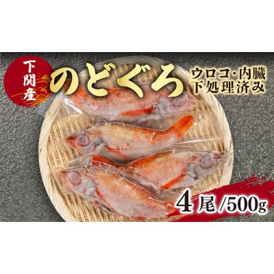 ふるさと納税 下関市 のどぐろ 中 サイズ 4尾 高級 魚 鮮魚 冷凍 アカムツ 下処理 済 下関 EY002_1