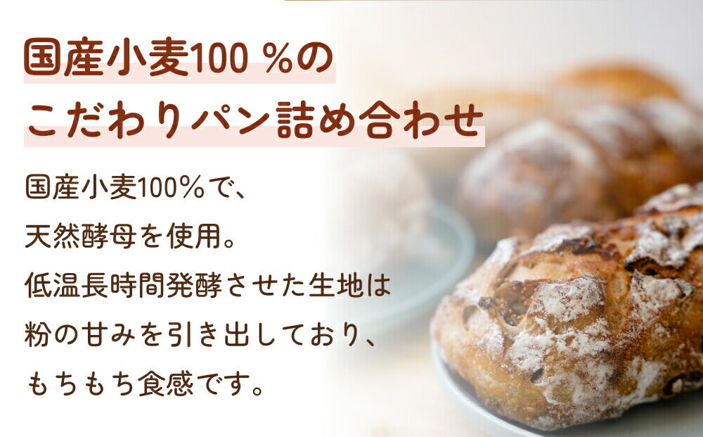 【定期便7ヶ月】名取 閖上のぱんやこてつ 手作り 国産小麦のハード系パンセット 8枚カットしてお届け