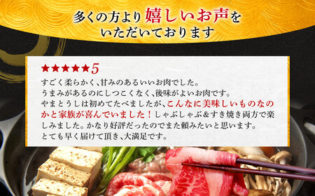 希少和牛肉 大和牛 すき焼き・しゃぶしゃぶ用切り落とし 1.2kg 肉の河内屋 牛肉 特選和牛 肉 黒毛和牛 すき焼き用牛肉 和肉 高級牛肉 和牛 肉 上質霜降り牛肉 国産牛肉 和牛 肉 すき焼き 肉