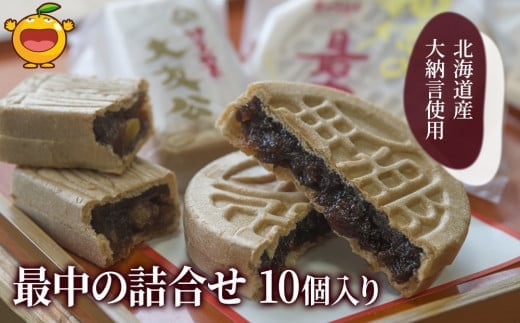 
最中の詰合せ 10個入り 和菓子 茶菓子 もなか お中元 お歳暮 ギフト お供物 大分県産 九州産 津久見市 熨斗対応
